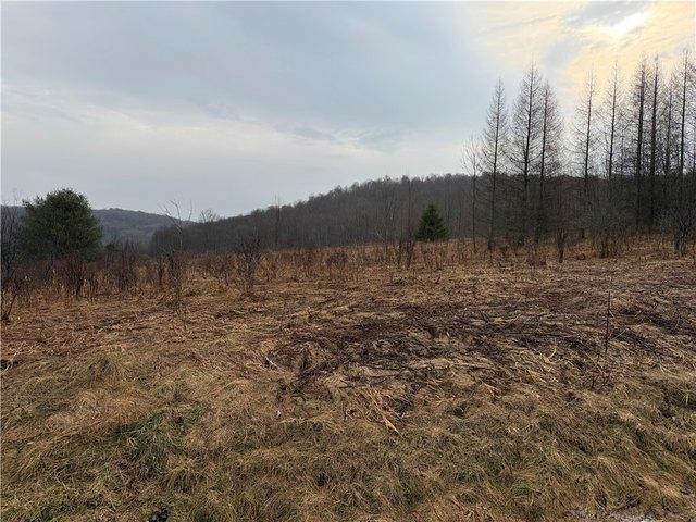 Land for sale in New York