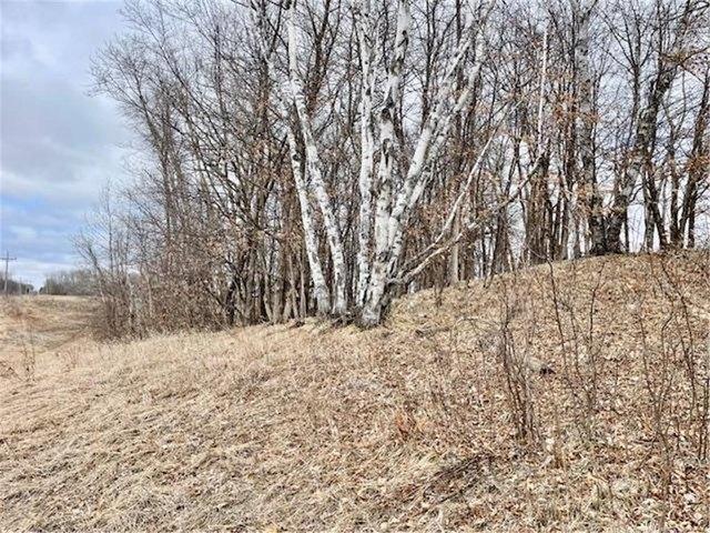 Land for sale in Underwood, Minnesota