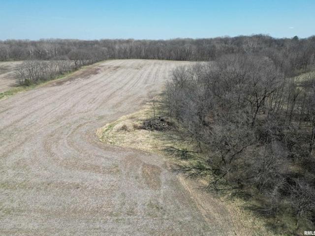 Farm for sale in Fulton, Illinois