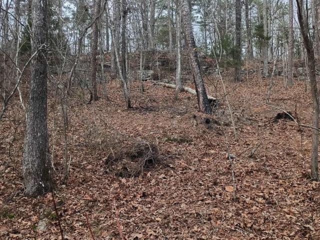 Land for sale in Blount, Alabama