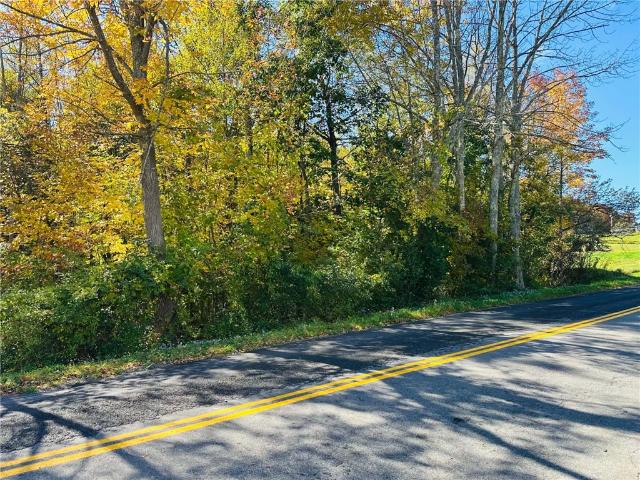 Land for sale in Unadilla Center, Town of Unadilla