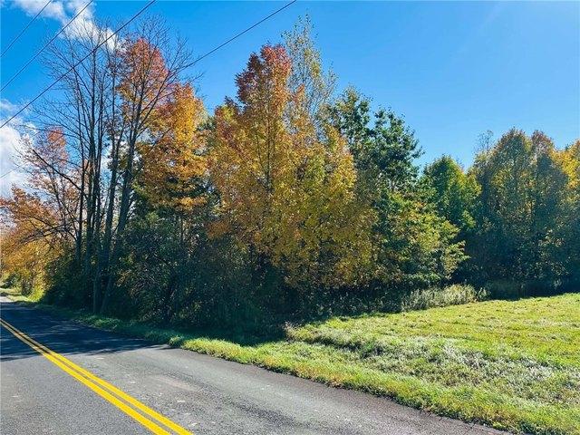 Farm for sale in Village of Unadilla, Town of Unadilla