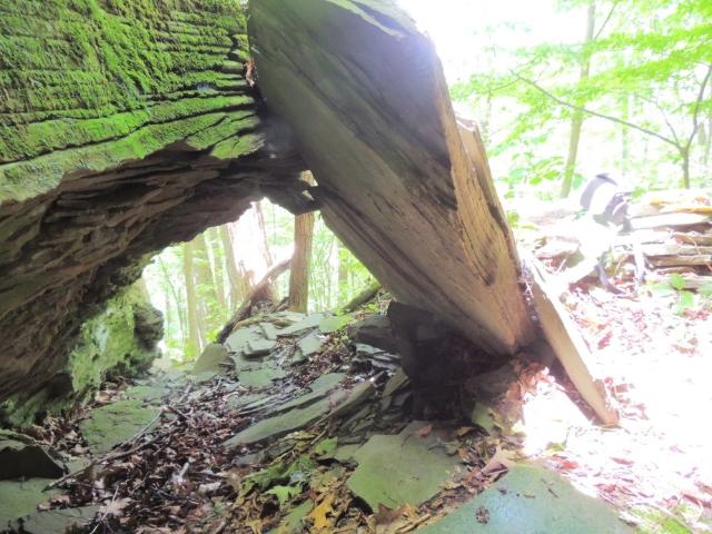 Land for sale in Town of Otego, Otsego County