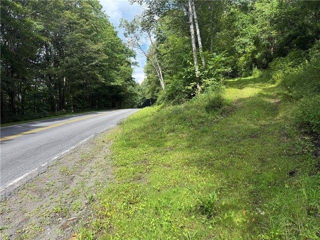 Land for sale in Oneonta, New York