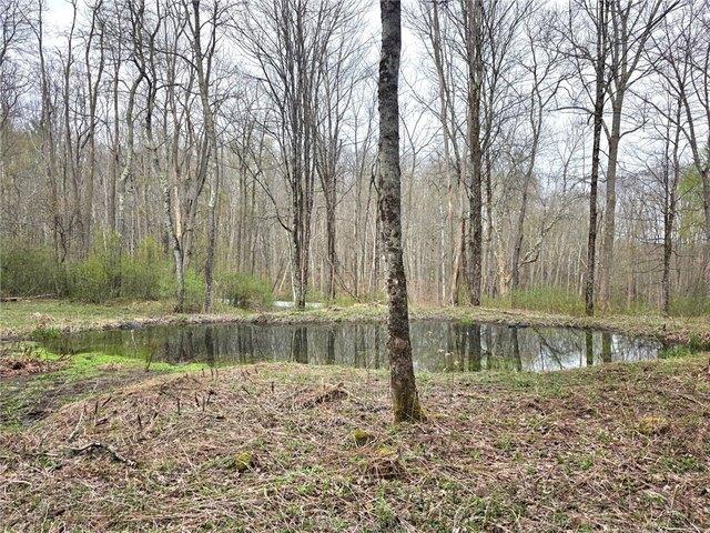 Land for sale in Cooperstown, New York