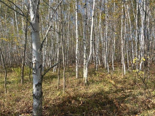 Land for sale in Hinckley, Minnesota