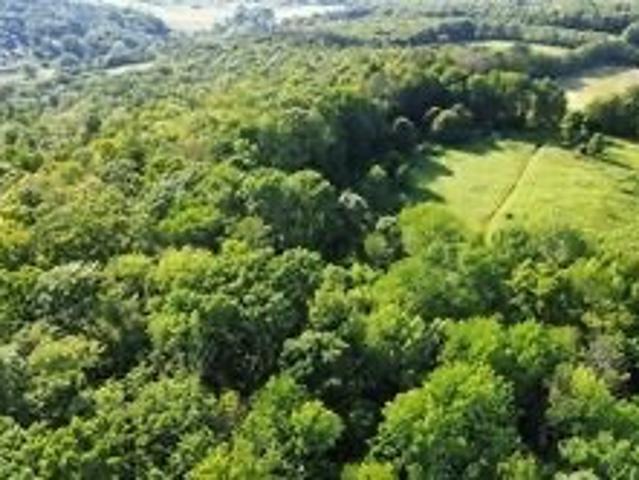 Land for sale in Laurens, New York