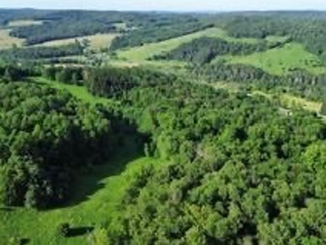 Land for sale in Laurens, New York