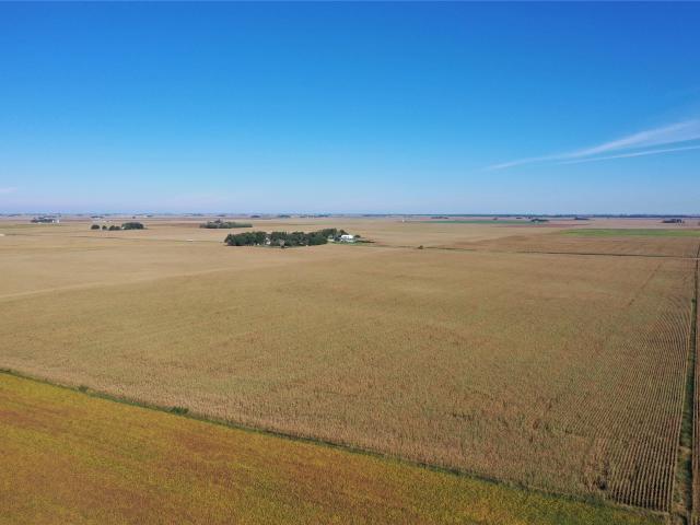 Land for sale in Mallard, Palo Alto County