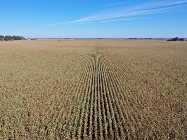 Land for sale in Iowa