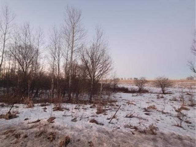 Land for sale in Neillsville, Wisconsin