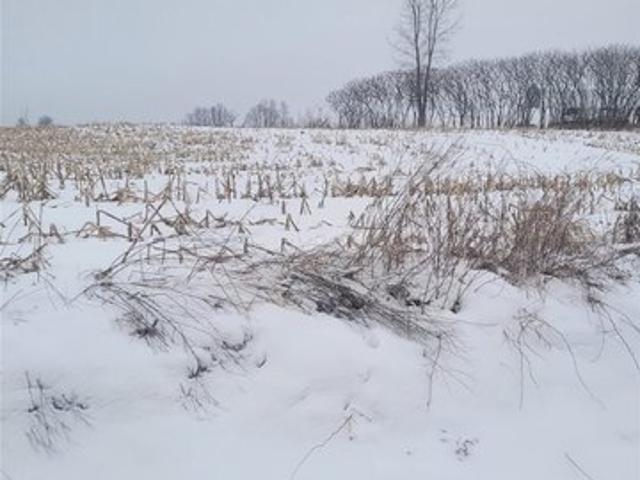 Land for sale in Neillsville, Wisconsin