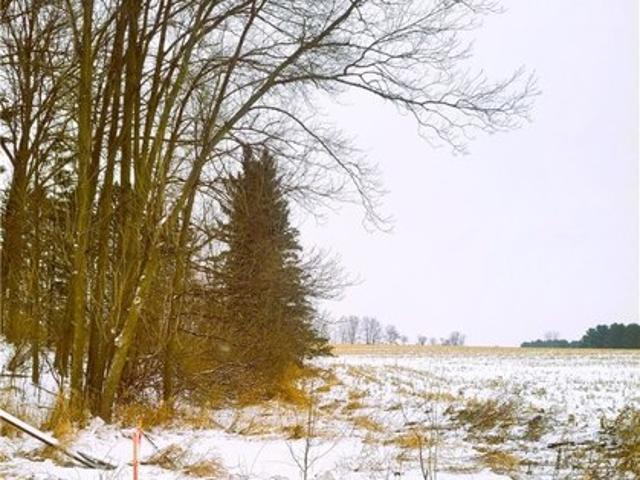 Land for sale in Neillsville, Wisconsin