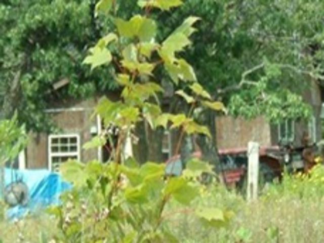 House for sale in Town of Bell, Bayfield County