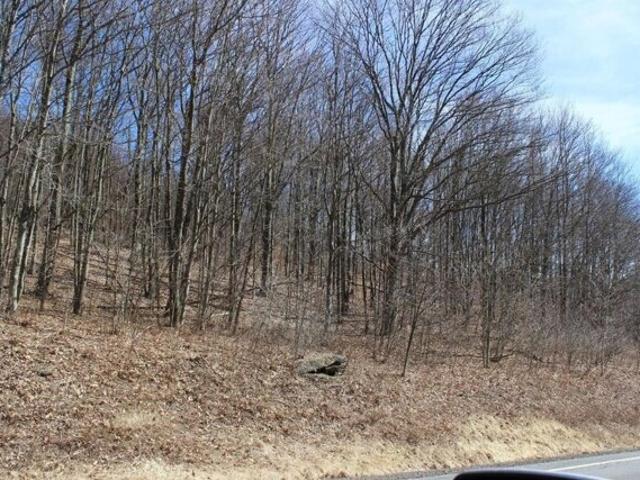 Land for sale in Downsville