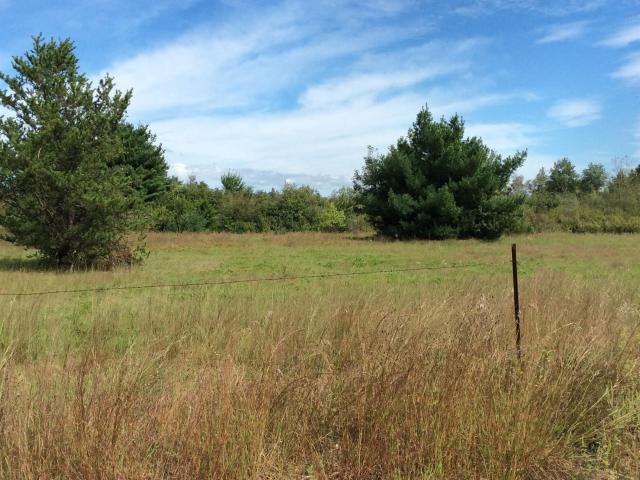 Land for sale in Tomah, Wisconsin