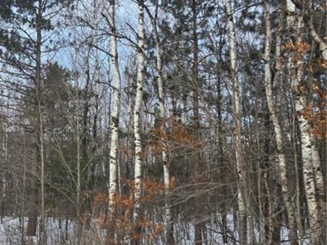 Land for sale in Holcombe, Wisconsin