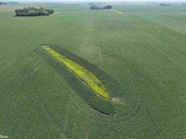 Farm for sale in Graettinger, Iowa