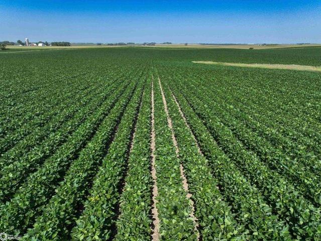 Farm for sale in Graettinger, Iowa