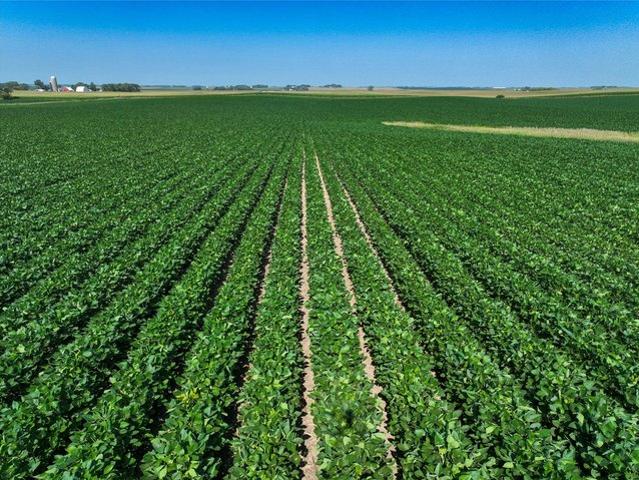 Land for sale in Iowa