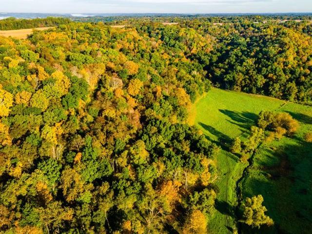Land for sale in Town of Willow, Richland County