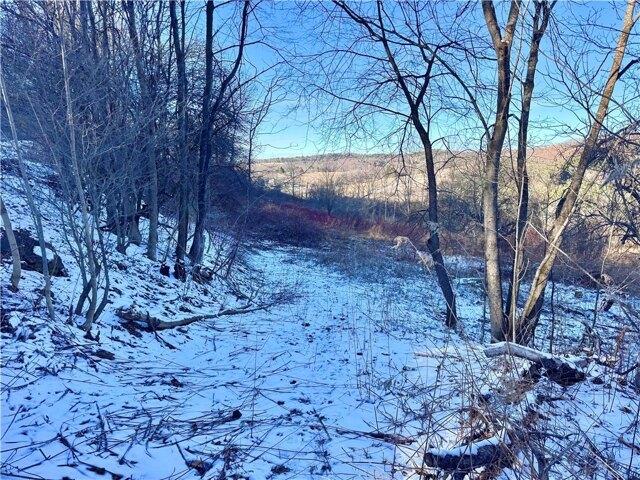 Land for sale in Laurens, New York