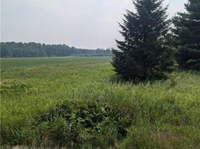 Land for sale in Holcombe, Wisconsin