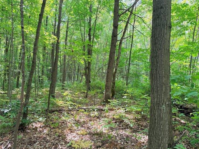Land for sale in Glen Flora, Rusk County