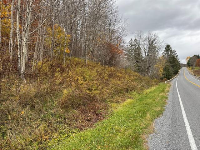Land for sale in Meridale, New York