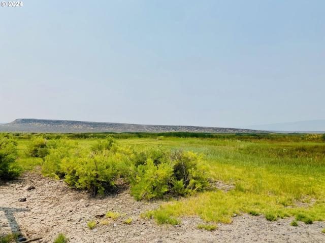 Land for sale in Oregonia