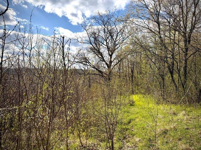 Land for sale in Clear Lake, Wisconsin