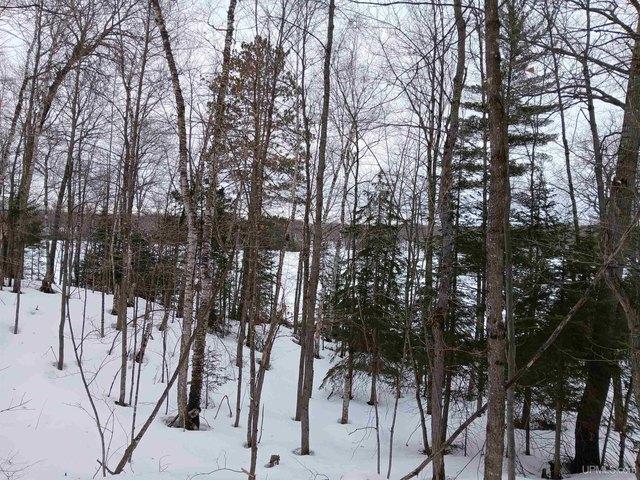 Land for sale in Watersmeet, Michigan