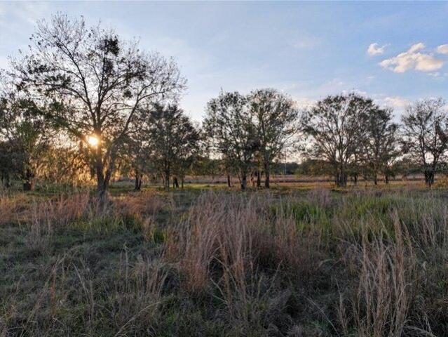 Land for sale in Fort Meade