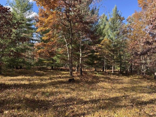 Land for sale in Free Soil, Michigan