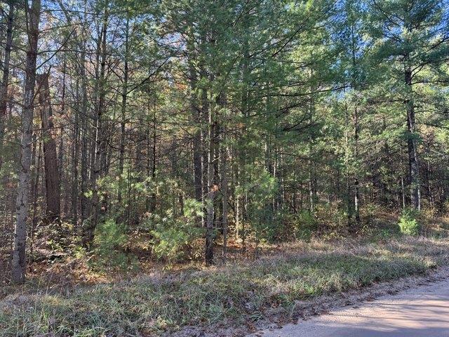 Land for sale in Free Soil, Michigan