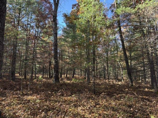 Land for sale in Free Soil, Michigan