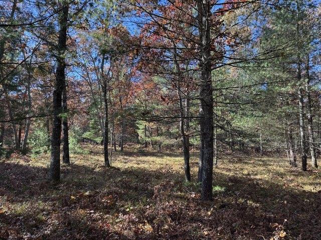 Land for sale in Free Soil, Michigan