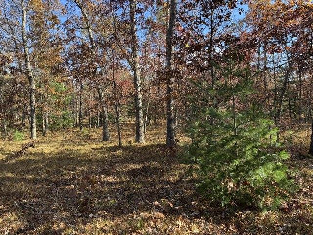 Land for sale in Free Soil, Michigan