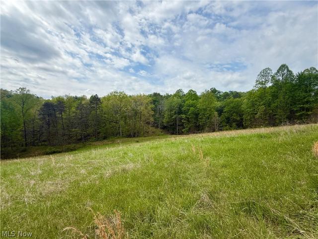 Land for sale in Saint Marys, West Virginia