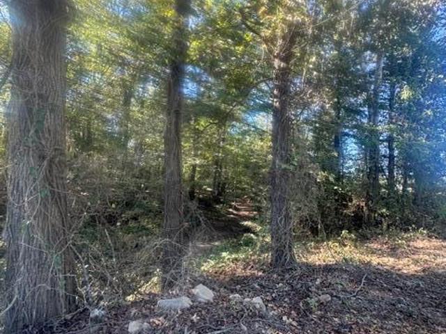Land for sale in Maben, Webster County