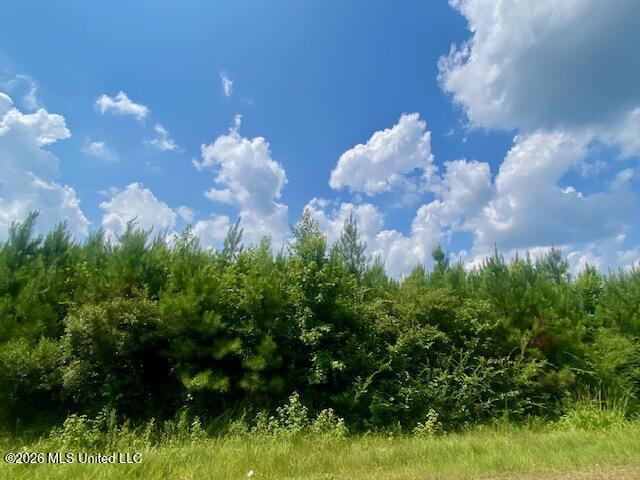 Land for sale in Summit, Mississippi