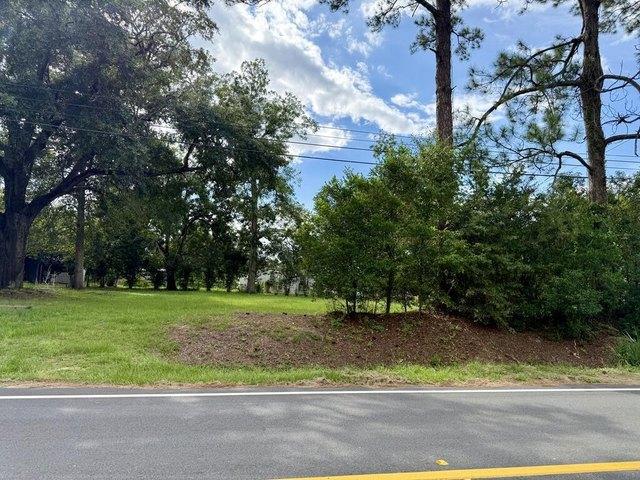 Land for sale in Pavo, Brooks County