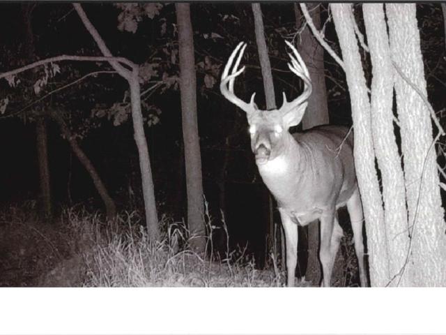 Land for sale in Adair, Missouri