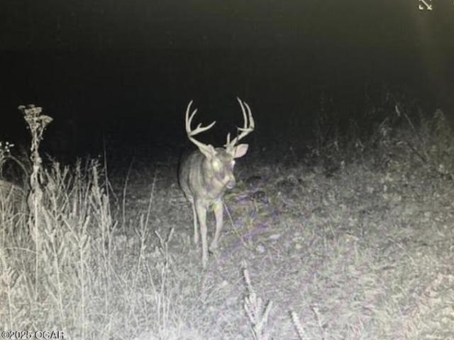 Land for sale in Carthage, Missouri