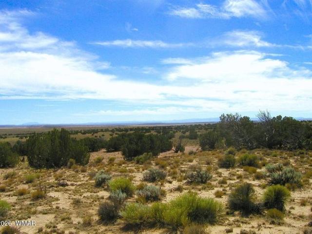 Land for sale in Arizona