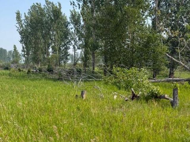 Land for sale in Wadena, Minnesota