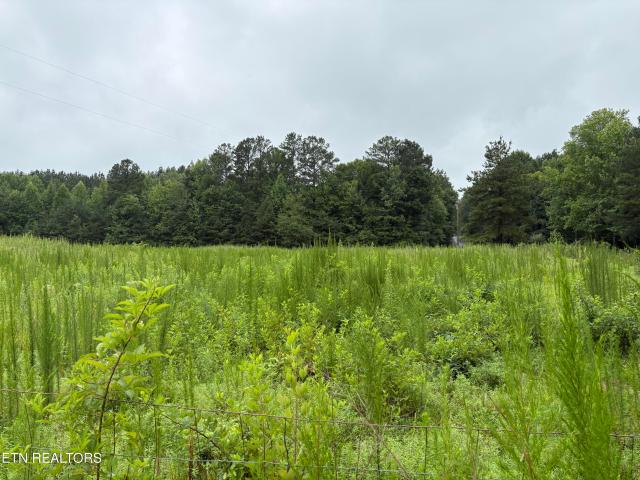 Land for sale in Tennessee