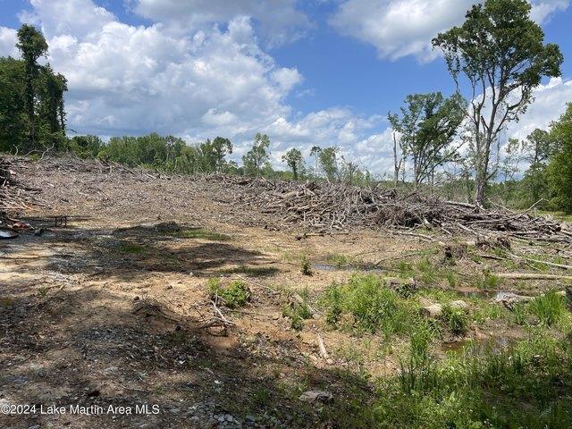 Land for sale in Tallapoosa, Alabama