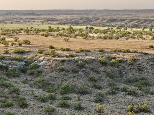 Land for sale in Boys Ranch, Texas