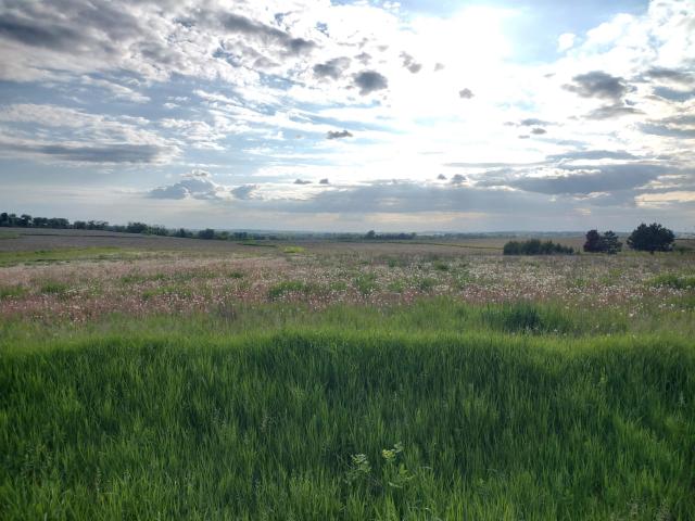 Land for sale in Ripon Land for sale in Ripon